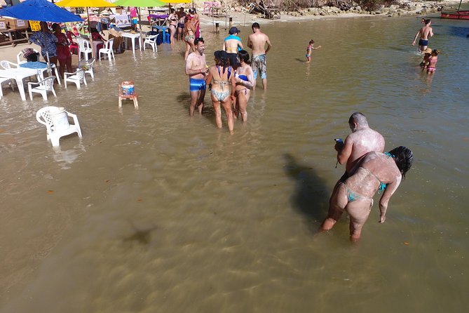 Private Transfer from Recife Airport to Tamandaré - What You Can Expect at the Meeting Point and During Your Journey