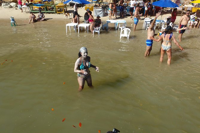 Private Transfer from Recife Airport to Tamandaré - Itinerary Breakdown