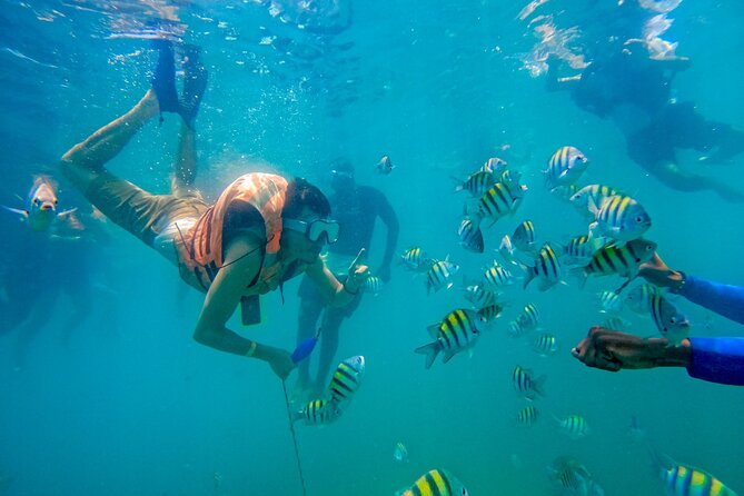 Adventure full day Isla Barú + Mangroves + Snorkel + bioluminescent plankton - Transportation, Group Size, and Practical Details