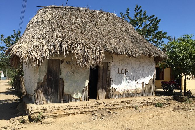 Private freedom tour in Palenque - Final Words