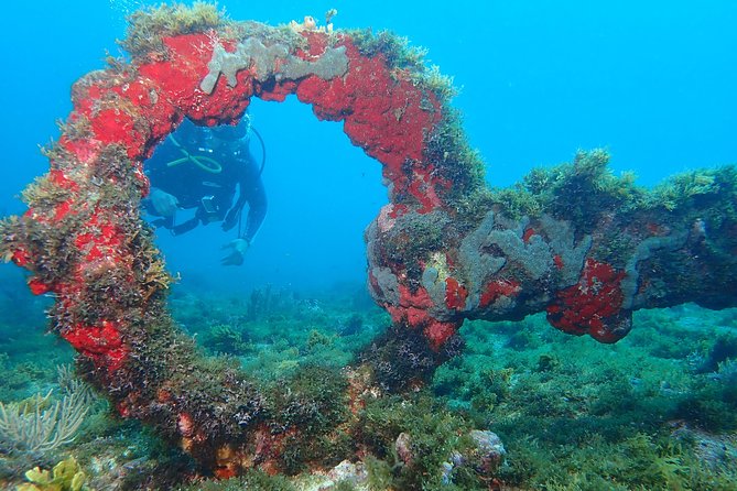 Advanced PADI Diving Course - Final Thoughts