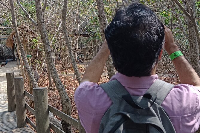 Private Experience at the National Aviary of Colombia - The Sum Up: Who Should Consider This Tour?