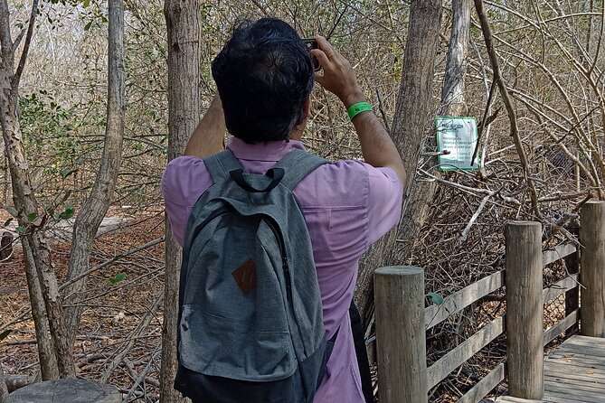 Private Experience at the National Aviary of Colombia - Private Experience at the National Aviary of Colombia: A Bird Lover’s Dream