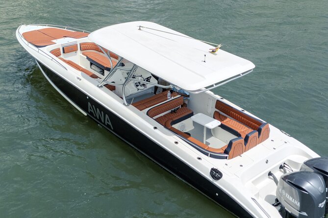 8-hour private tour in a luxurious and fast 41' AWA boat - Key Points