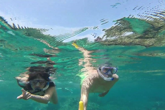 Full day rosario island, cholon, agua azul, baru and free snorkell - Reviews: A Mix of Praise and Caution