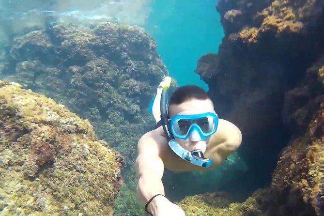 Full day rosario island, cholon, agua azul, baru and free snorkell - Key Points