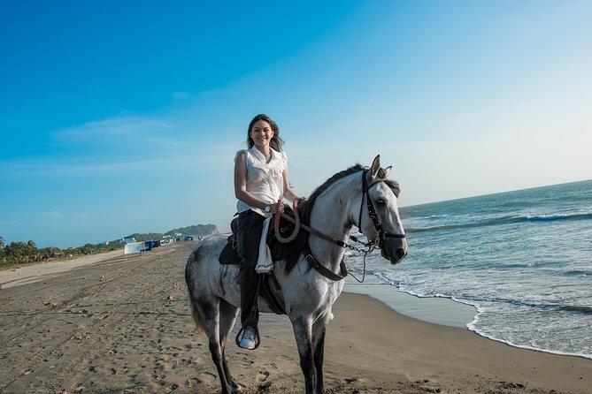 Horseback Riding Tour in Beach of Cartagena - Who Will Love This Experience?