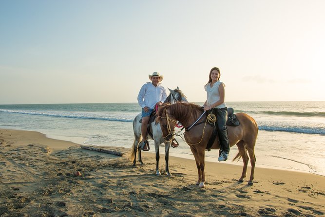Horseback Riding Tour in Beach of Cartagena - An In-Depth Look at the Horseback Riding Tour in Cartagena