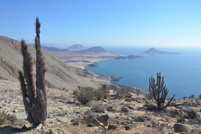 Coast and Atacama Desert English Bay and Sugar Loaf from La Serena - Authentic Experiences and What You Can Expect