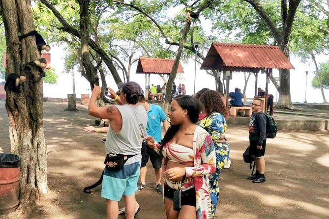 10 in 1 Puntarenas Highlights tour - What It Means for You