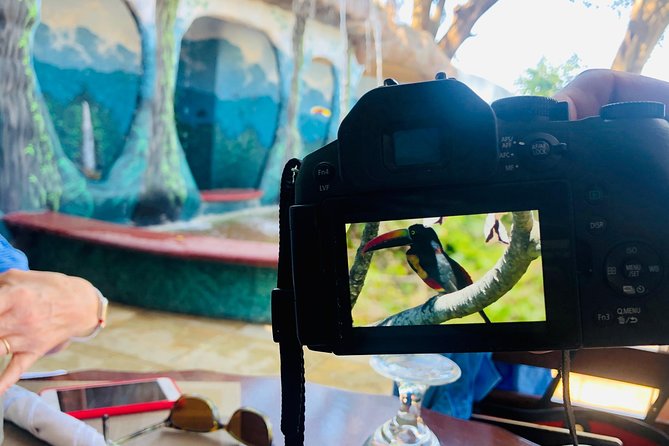 10 in 1 Puntarenas Highlights tour - Key Points