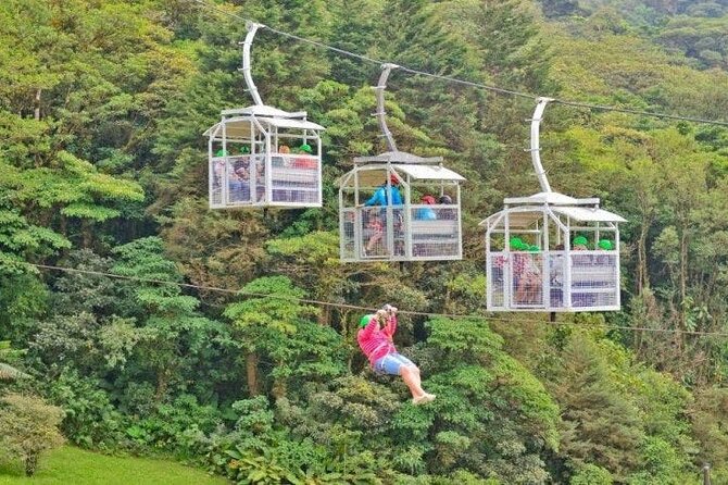 Shuttle From San Jose Airport To Monteverde - Possible Drawbacks and Considerations