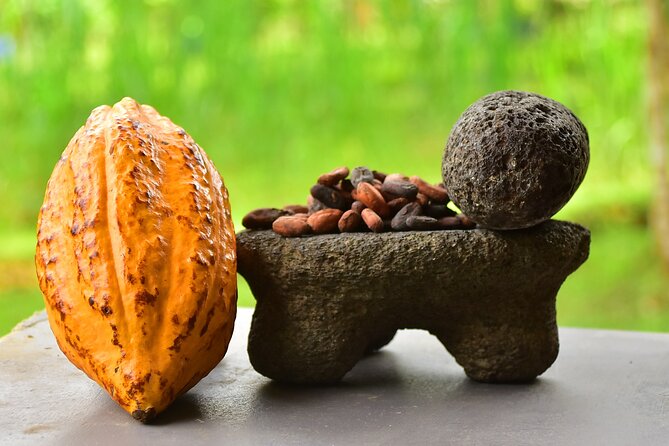 Chocolate Tour & Crocodile Safari. Puntarenas shore excursion - Key Points