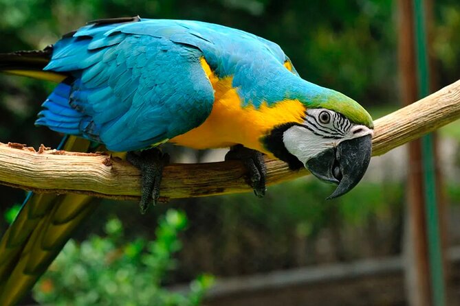 Private Wildlife and Sightseeing Tour to Natuwa Rescue Center - Discovering the Natuwa Wildlife Sanctuary