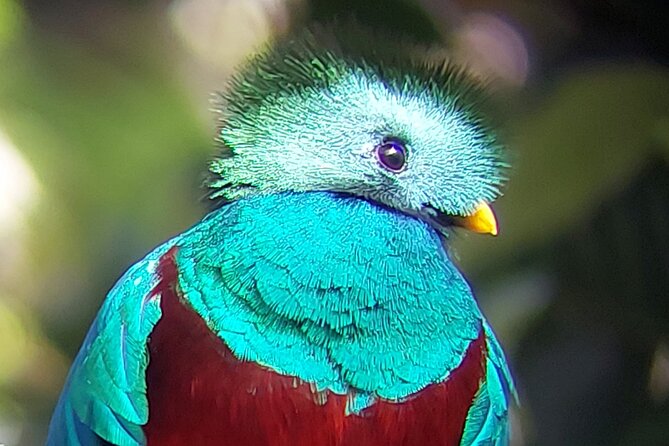 Monteverde Cloud Forest Tour - The Practicalities: What to Expect