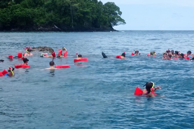 Snorkeling with whale and dolphin waching, Tour Manuel Antonio - A Deep Dive into the Manuel Antonio Coastal Tour