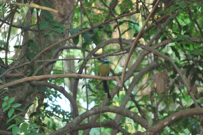 Chorro Rafting - The Sum Up