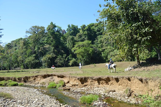 Rancho Típico Don Juan, Horseback Riding tour - In-Depth Look at What You Can Expect
