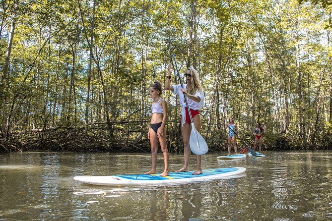 Paddle Board Mangrove Tour - Exploring Costa Rica’s Mangroves by Paddleboard: A Natural Adventure