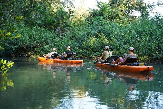 3-Hour Damas Mangrove Kayak Tour - The Location and Its Unique Appeal