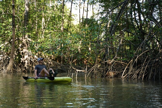 3-Hour Damas Mangrove Kayak Tour - Navigating the Mangroves
