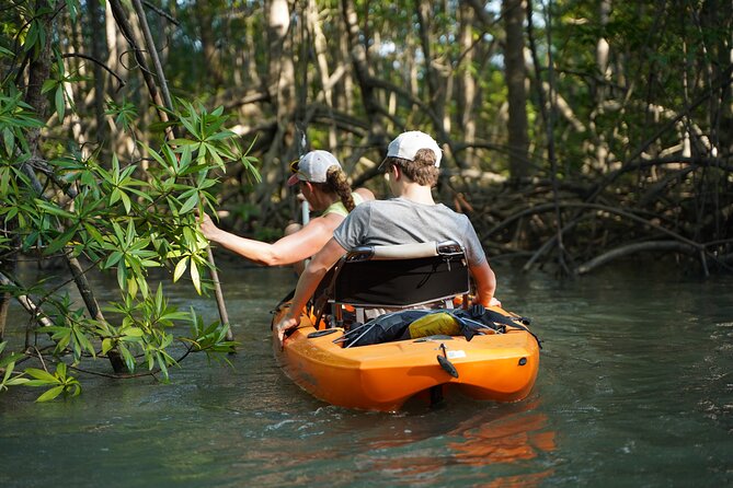 3-Hour Damas Mangrove Kayak Tour - The Snacks and Comforts