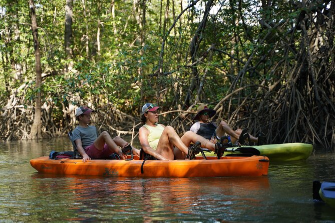 3-Hour Damas Mangrove Kayak Tour - Cancellation and Weather Considerations