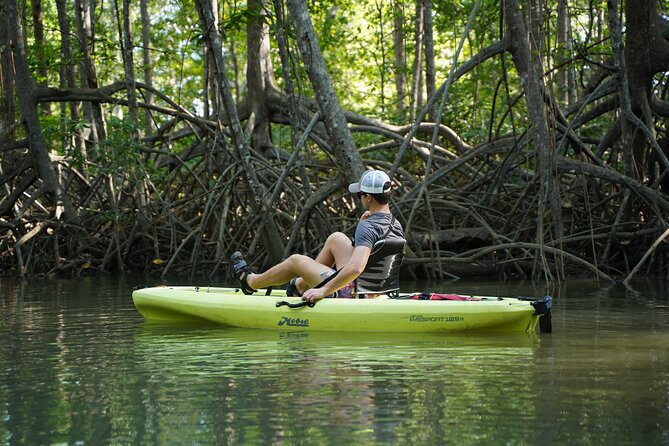3-Hour Damas Mangrove Kayak Tour - Key Points