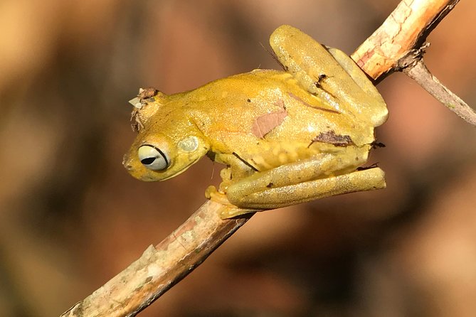 rainmaker tour - Exploring Rainmaker Conservation Park: An Authentic Jungle Adventure