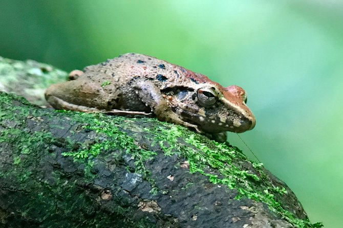 rainmaker tour - FAQ: Your Questions Answered