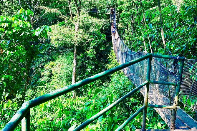 rainmaker tour - Summary: Who Should Consider This Tour?