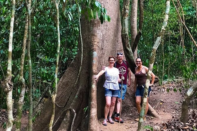 Guided hiking Tour by the Mystic Ebano Rainforest in Costa Rica - Who Will Love This Tour?
