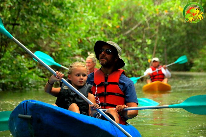 Mangrove Damas Island Kayak Tours - Who Should Consider This Tour?