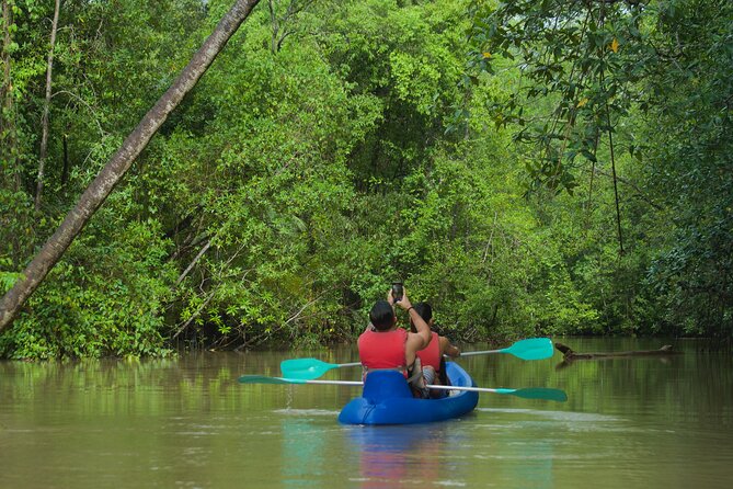 Mangrove Damas Island Kayak Tours - Why This Tour Is Worth It