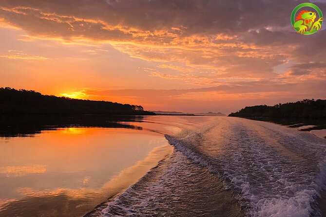 Damas Mangrove Boat Tour - Who Should Consider This Tour?