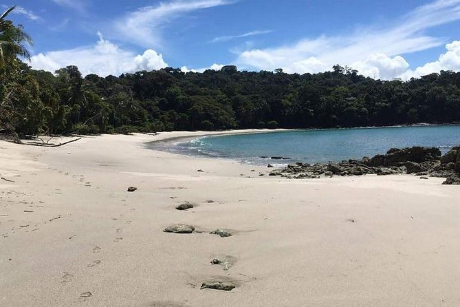 Manuel Antonio National Park Guided Tour - Key Points