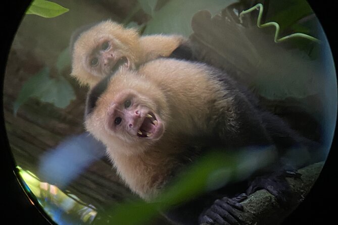 Full Day Tour to Hacienda Baru and Nauyaca Waterfalls - Key Points