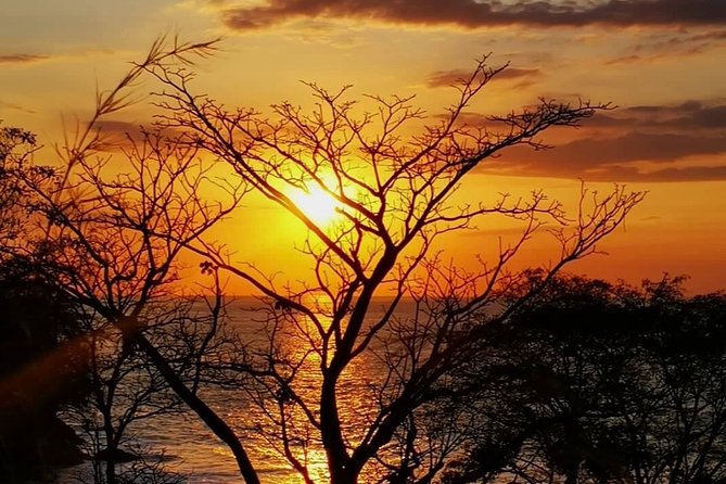 Manuel Antonio National Park full Wildlife - Frequently Asked Questions