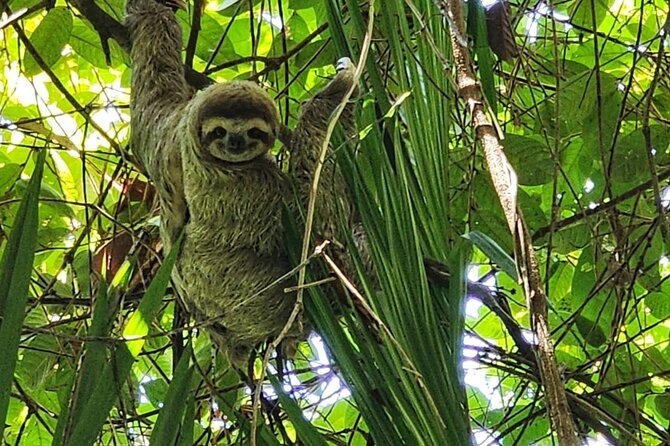 Private Transportation San José To / From Manuel Antonio, Quepos - Final Thoughts
