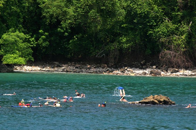 Catamaran Cruise from Manuel Antonio with Snorkeling - What Makes This Tour Stand Out?