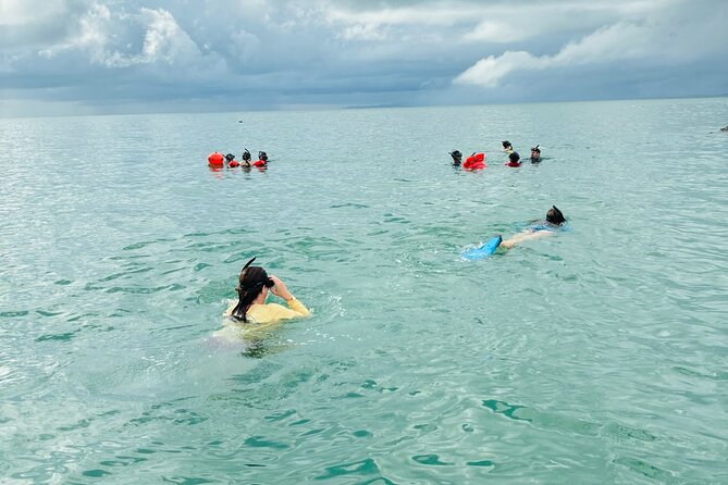 Private Snorkeling tour - Exploring the Details: What to Expect from Your Private Snorkeling Adventure