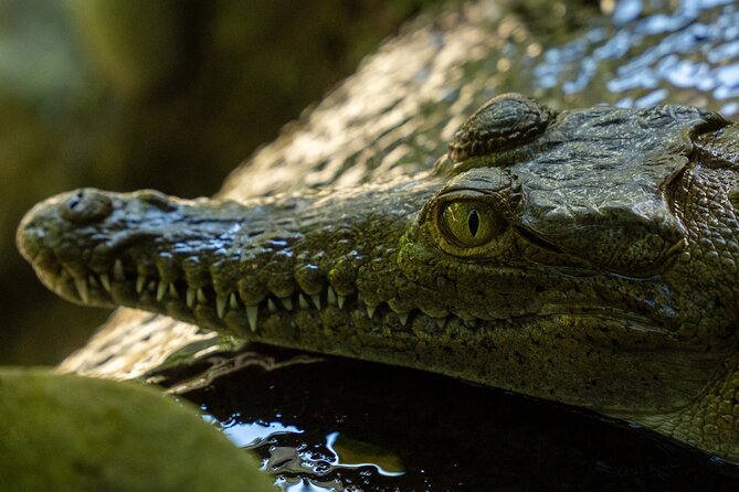 Sukia ZIP Line Tour & Jungle Adventure - Value and Overall Experience