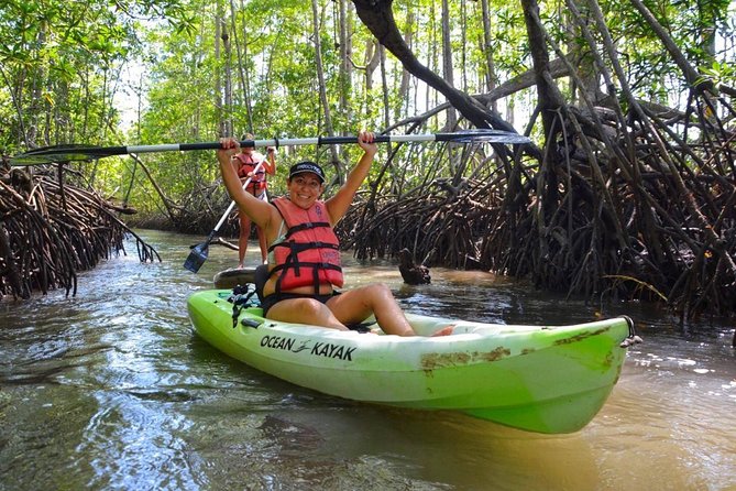Mangrove Kayaking (or boat) Adventure - Exploring the Damas Island Estuary