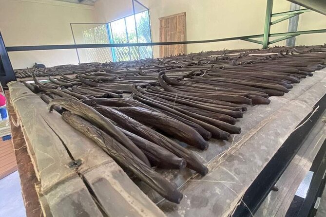 Full day at Hacienda cacaoymango and vanilla greenhouse. - In-Depth Look at the Experience