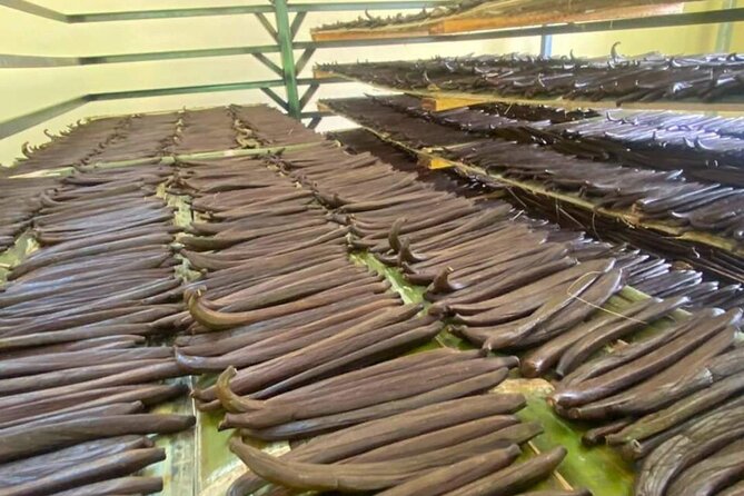 Full day at Hacienda cacaoymango and vanilla greenhouse. - The Sum Up: Is This the Right Tour for You?