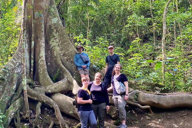 Rainforest Wildlife, Panama Hat makers, Traditional Cuisine. SHORE TOUR - A Dive Into Manta’s Hidden Charms: Rainforest, Panama Hats, and Coastal Flavors