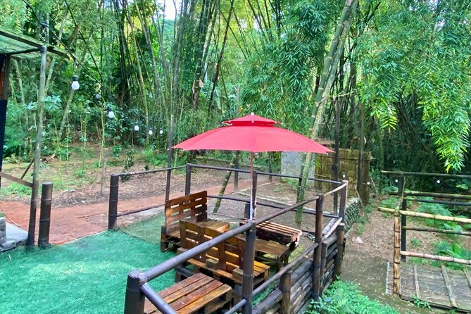 Chocolate & Coffee farm Cruiseship Tour in Manta - The Sum Up