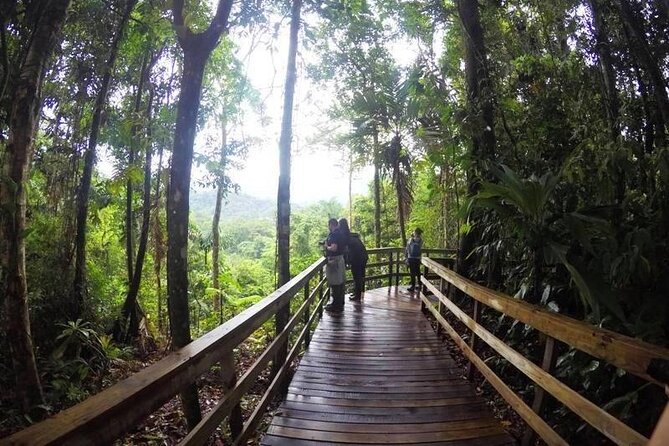Veragua Rainforest Experience and Tram Ride in Puerto Limon - Practical Details and Considerations