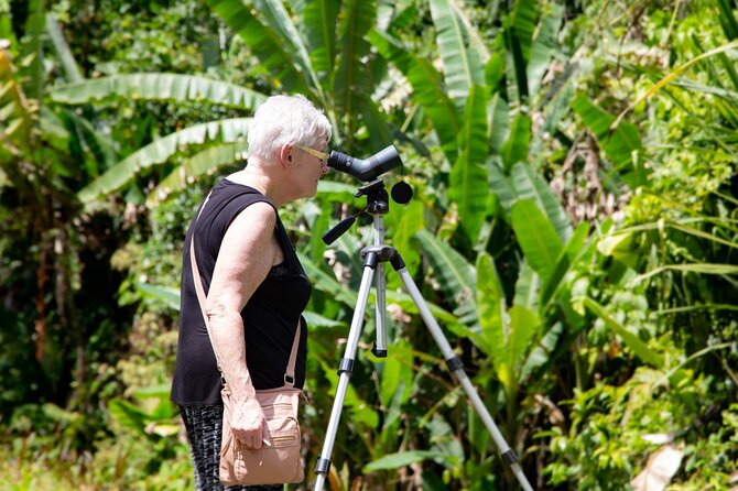 Veragua Rainforest Experience and Tram Ride in Puerto Limon - A Closer Look at the Tour Experience