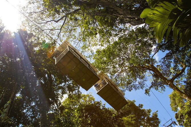 Veragua Rainforest Experience and Tram Ride in Puerto Limon - Authentic Experiences and Realities